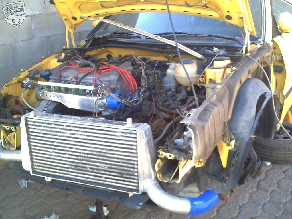 The Corrado of freddo