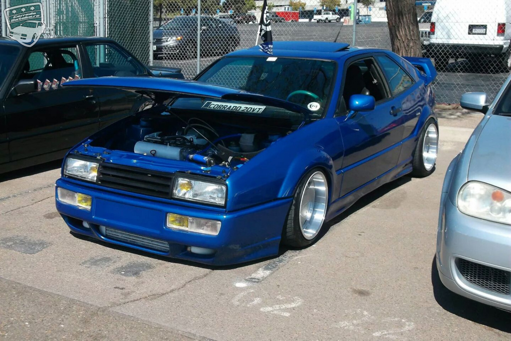 The Corrado of darwination