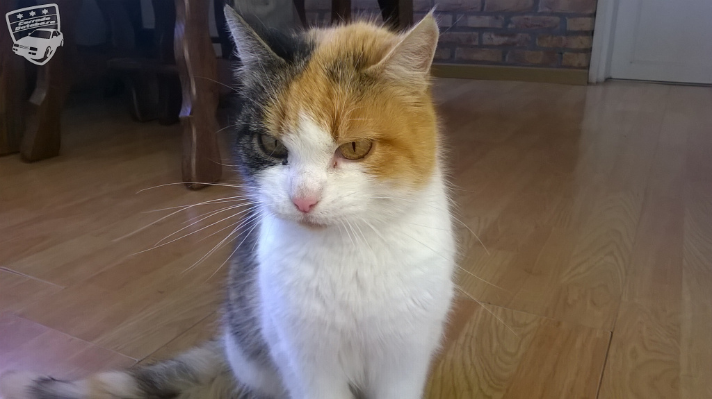 The Corrado of stoned4life